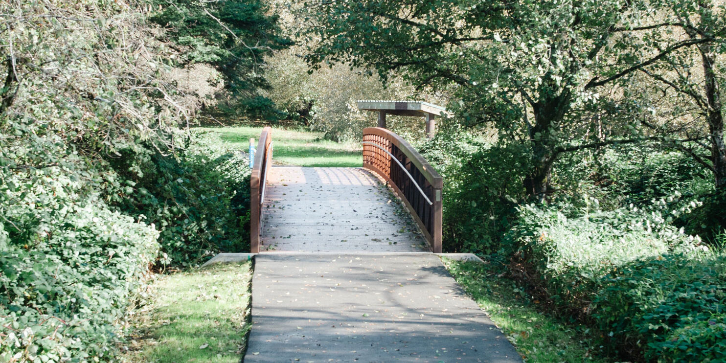 Bridge in a park.