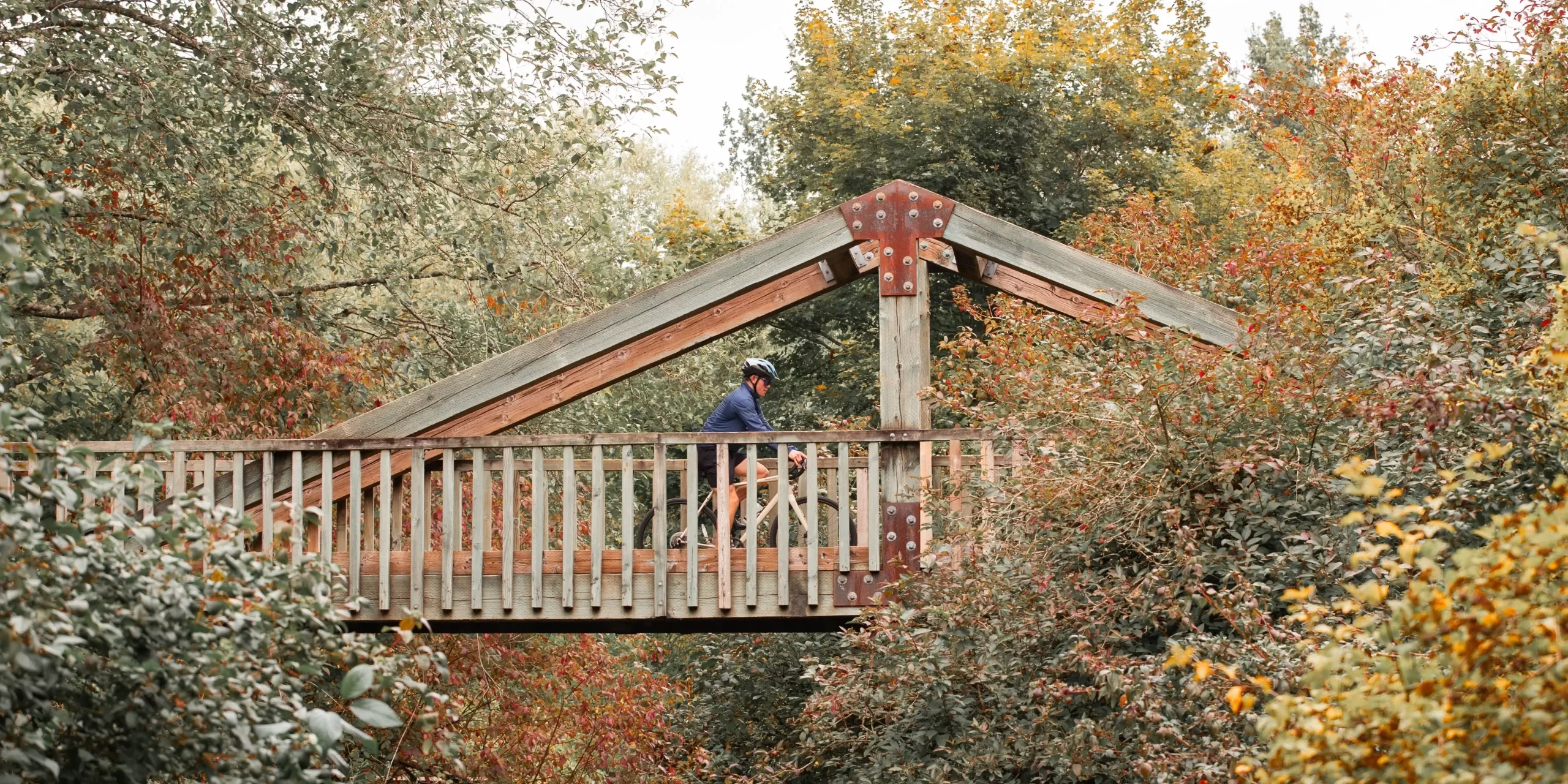 A man riding a bicycle over a bridge surrounded by trees.